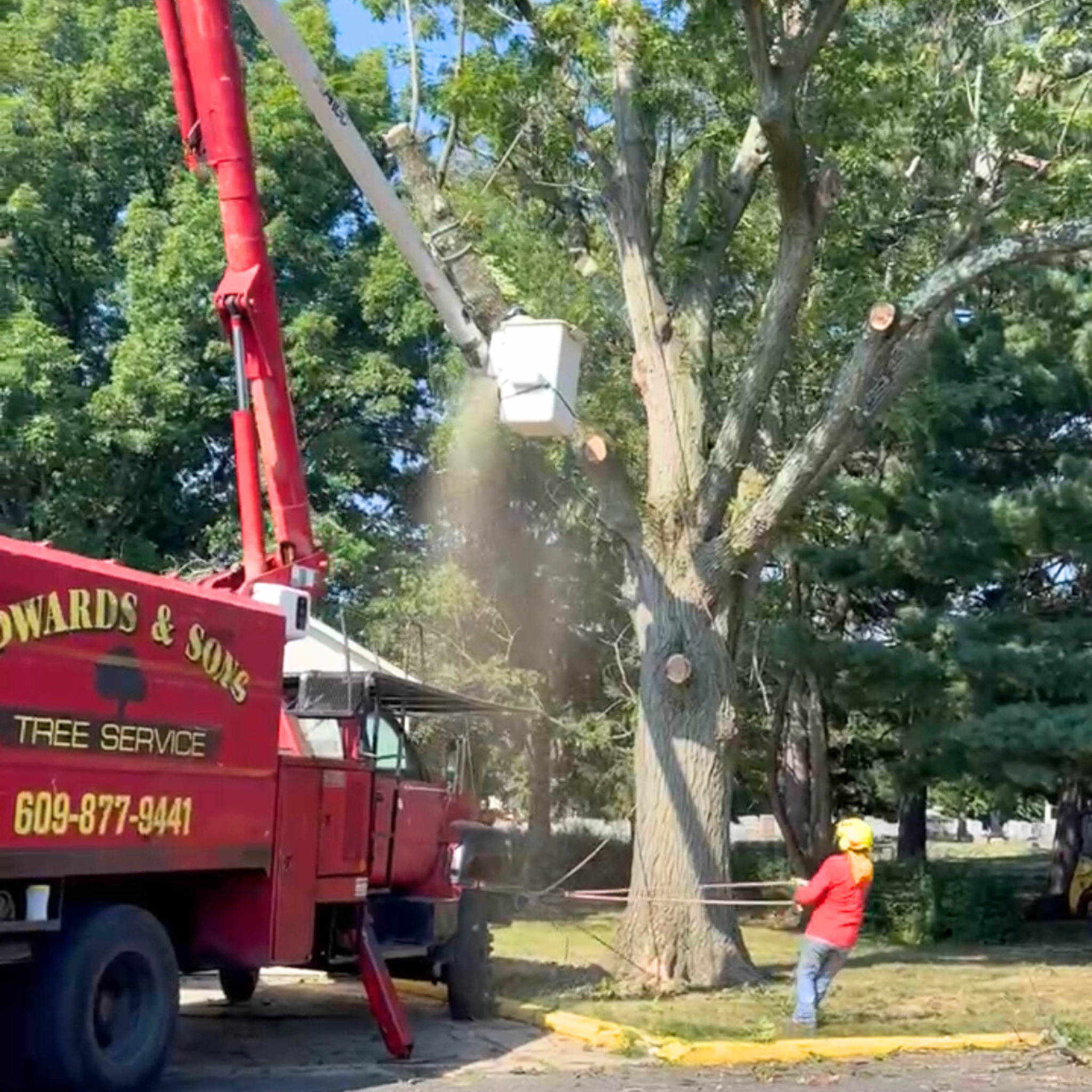 Edwards & Sons concrete and tree service crew